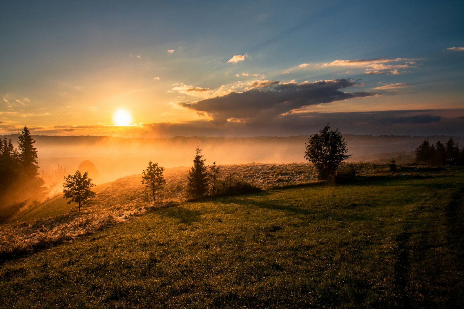 Lever du jour, brume qui se dissipe — le temps du dévoilement